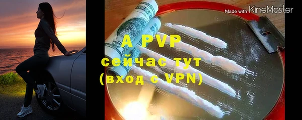 ешки Белокуриха
