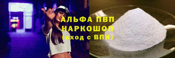 ешки Белокуриха