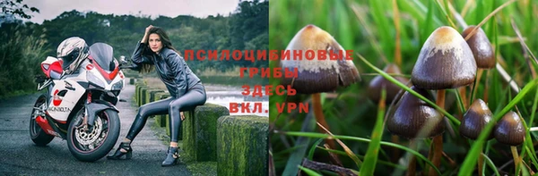 наркотики Беломорск