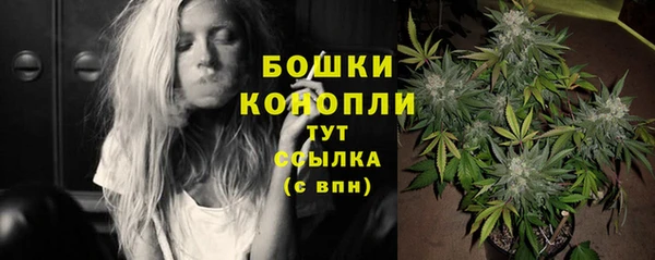 ешки Белокуриха