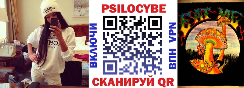 купить закладку  Онега  Псилоцибиновые грибы Cubensis 